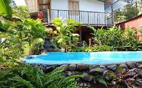 Cabana Vista Rio Celeste