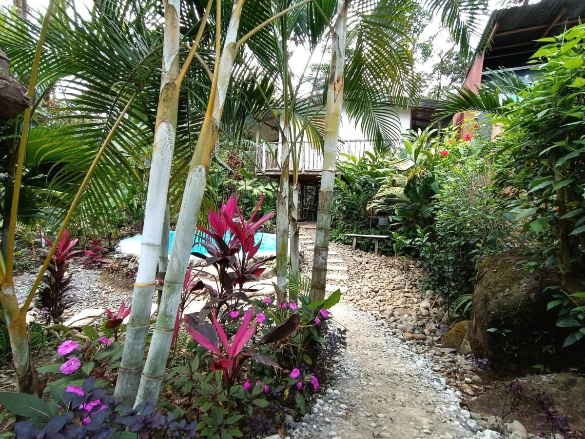 Cabana Vista Rio Celeste Exterior photo